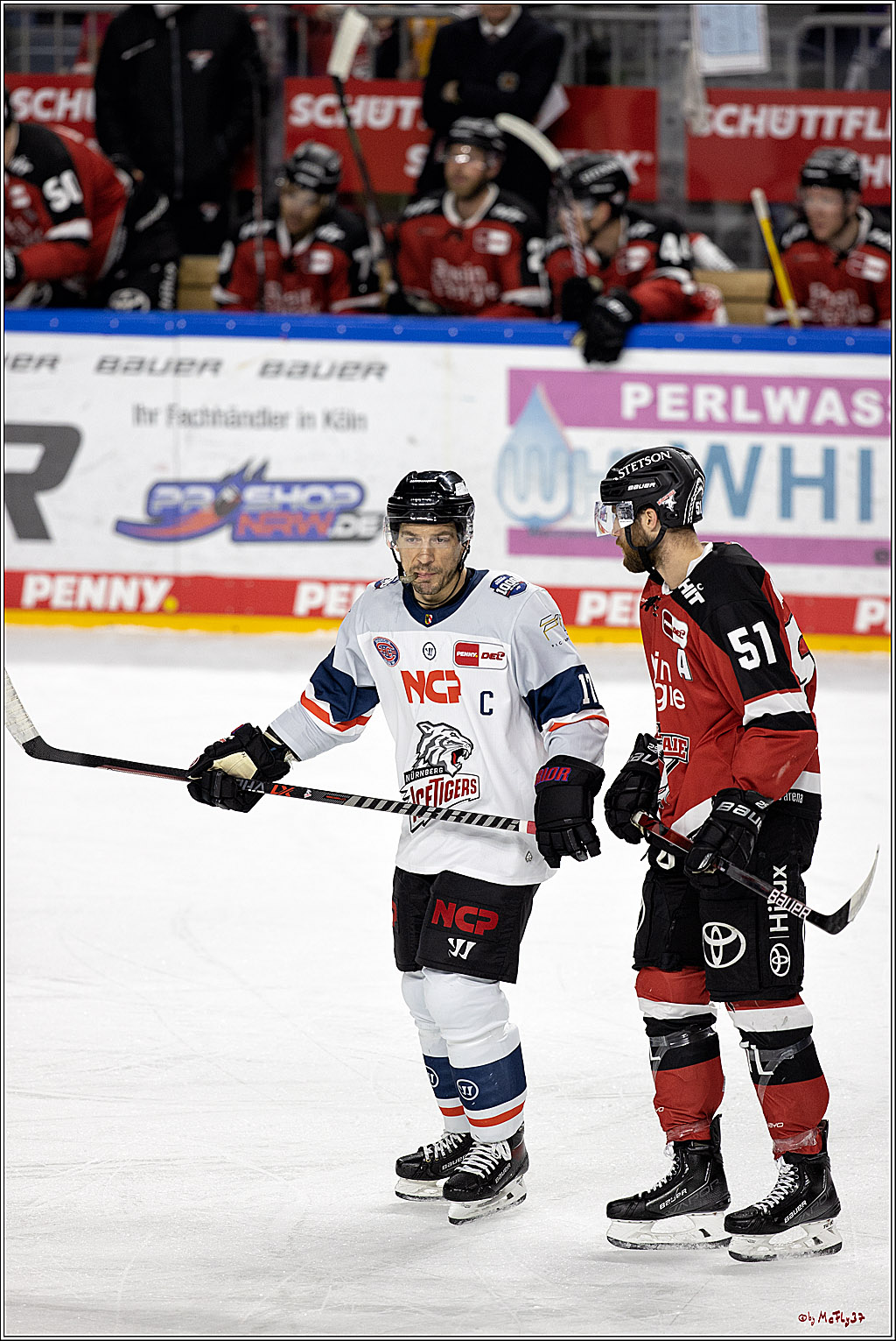 PENNY DEL;  Koelner Haie - Nuernberg Ice Tigers; Koeln, 03.12.2021